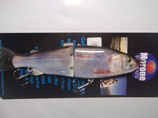 Morone Swimbaits Sacramento River Splittail Striper fishing Glide Bait bass picture