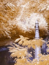 Infrared converted Camera Nikon D70  Full Spectrum picture