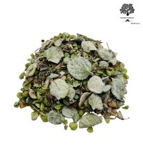 Greek Dried Dittany Leaves Cretan 85g(3.1oz) Class A Origanum Dictamnus picture