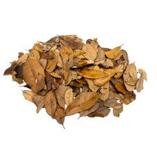 XYZReptiles Premium Live Oak Leaf Litter Isopod Substrate Terrarium Bedding picture