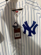 Mitchell & Ness New York Yankees Jay-Z Blueprint Pinstripe Jersey Size L picture