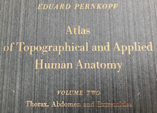 Pernkopf's ATLAS OF ANATOMY (Volume Two only, 1964 ; 1st English Edition) picture