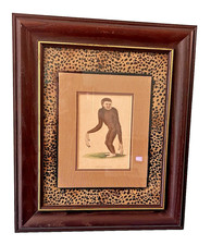 Five Antique c1800 Hand Colored Primate Engravings Kearsley London Heath Sculp. picture