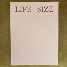 Sam Falls Life Size Karma Books 2012 1st Edition Brand New picture