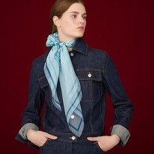 Rare Hermès CALÈCHE ÉLASTIQUE FINESSE Silk Mousseline Scarf 90 Bleu Ciel /  Vert picture