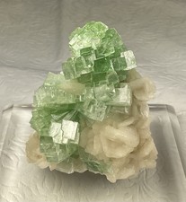 Green Cubic Apophyllite Crystals on Stilbite - Maharashtra, India picture