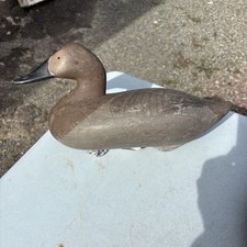 Vtg Madison Mitchell Canvasback hen Duck Decoy Havre de Grace MD Hand Carved picture