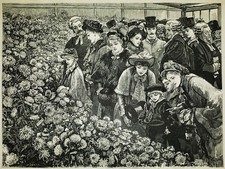 WILLIAM SMALL 1843-1929 Antique Original SIGNED Victorian ENGRAVING Flower Show picture