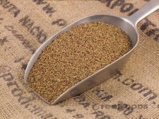 Organic Alfalfa Sprouting Seeds Certified (NON-GMO) -  1 lb. picture