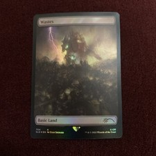 Wastes (704) - Full Art Secret Lair Drop Foil picture