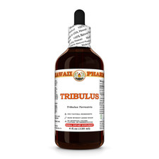 Tribulus (Tribulus Terrestris) Dried Fruit Liquid Herbal Extract picture