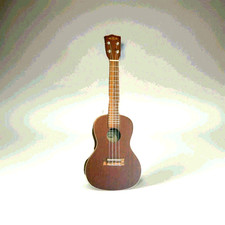 Kala KA-C Concert Mahogany Ukelele w/ Carrying Case, Snark Tuner, and Picks picture