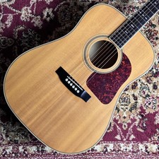 GL-10 GALLAGHER picture