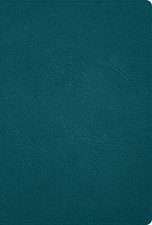 BIBLIA RVR 1960 DELUXE PIEL GENUINA VERDE TURQUESA picture