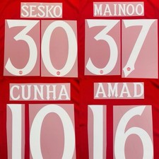 2025/26/27 Manchster United CUP Player Home Soccer Name & Number Set picture