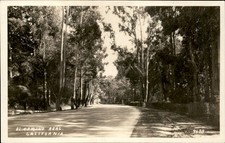 CA Tree-lined road El Camino Real c1920 Real Photo Vintage Postcard bhn picture