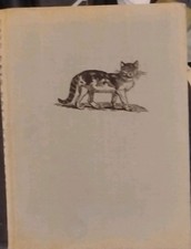 Vintage 1961 CATS book John R Gilbert First Edition Hardcover Photo picture