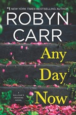 Any Day Now: A Novel (Sullivan's Crossing) picture