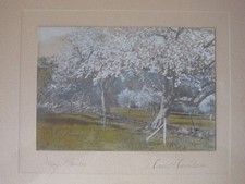 Vintage David Davidson painted photograph “May Brides” picture