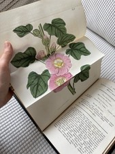 Curtis’s Botanical Magazine Flower Garden 1817 Antique Book Floral Collectable picture