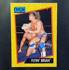Impel 1991 WCW Flyin' Brian #64 Wrestling Sports Trading Card English Vintage picture