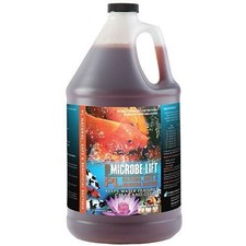 Microbe Lift PL 1 Gallon Koi Pond Beneficial Bacteria Clarifier 10PLG4 picture