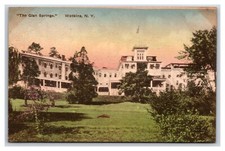 The Glen Springs Hotel Watkins New York NY UNP Albertype DB Postcard W19 picture