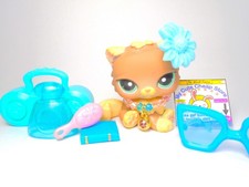 Littlest Pet Shop Rare Brown Persian Cat #1063 with cute accessories authentic picture