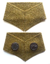 WWI WW1 US Army USMC Enlisted Insignia Display Collar picture