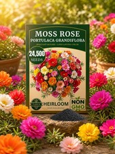TLSSCO Moss Rose Seeds, 24500+ Moss-Rose Purslane, Eleven O'clock Mix picture