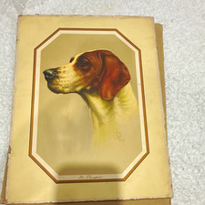 Vintage C.B. Fox “The Champion” Pointer Hunting Dog Print Sporting Dog Art picture