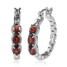 Garnet 4.25 ctw Earrings in Stainless Steel picture