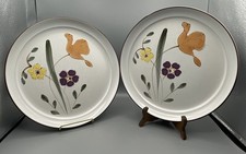 2 Vintage Noritake Hello Spring Dinner Plates 10.5 inch style 8551 picture
