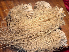 Vetiver Root ~ Vetiveria Zizanioides ~ Haiti picture