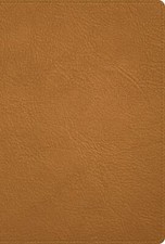 BIBLIA RVR 1960 DELUXE PIEL GENUINA CARAMELO picture