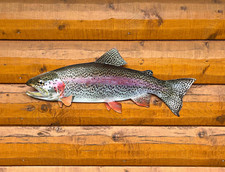 Rainbow Trout Replica - 26 Inch 2D Realistic Trout Fish Art, Rustic Wall Decor picture
