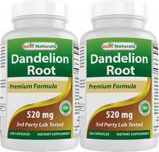 2 Pack Best Naturals Dandelion Root 520 mg 250 Capsules  picture