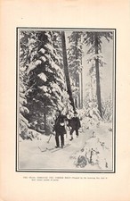 antique 1903 Winter Ascent Climbing Mount Hood OR Oregon Cross-Country Skiing picture