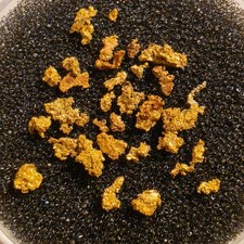 .682g Extremely Rare Transylvania Romania Crystallized Gold Nugget Batch picture