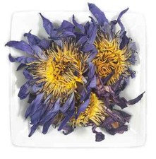 Blue Lotus Flowers Nymphaea caerulea Whole Egyptian USA picture
