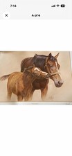 Fred Stone Signed 21x24 “Patience “ Thoroughbred Print picture