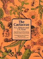 Cactaceae : Descriptions and Illustrations of Plants of the Cactu picture