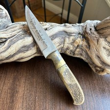 Vintage stay select limited white tail knife picture