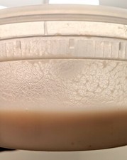 Microworm Starter Culture - Easy Live Food for Fry, Nano Fish, Guppy, Betta picture