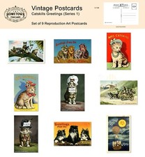 Catskills Greetings, NY  (Series 1) Lot of 9 Rare  Antique Repro Postcards picture