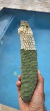 Rare Organic Monstera delisiosa  FRUIT picture