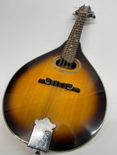 Johnson oval hole mandolin MA-110 (Beautiful) picture