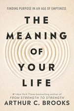 The Meaning of Your Life: Finding Purpose in an Age of Emptiness Paperback picture