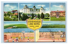 Stevensville Lake Hotel Swan Lake NY Sullivan County Resort 1939 Postcard E14 picture