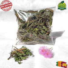 Dried MIMOSA PUDICA Sensitive Herbal Plant Root,Leaves,Flowers 100% Natural picture